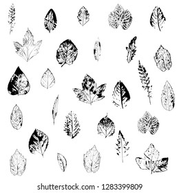Set with print of leaves in a modern style on a white background. Vintage vector illustration. Abstract vector background. Isolated vector illustration flat design.