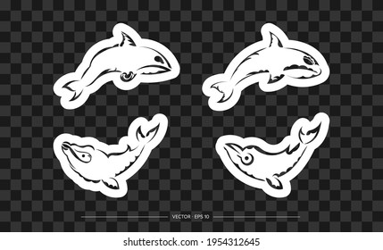 Set of print whale in boho style. Isolated. Vector 