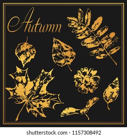 Set of printed leaves. Art illustration of autumn foliage.