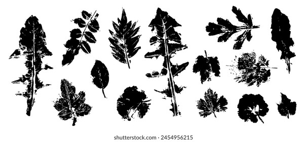 Set of prints, doodles of various leaves. Vector graphics.	