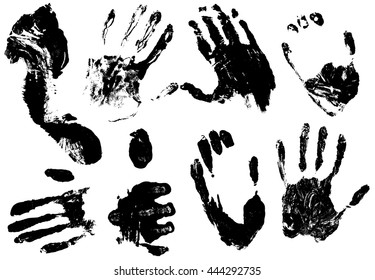 A set of prints of hands and feet - isolated on white vector illustration