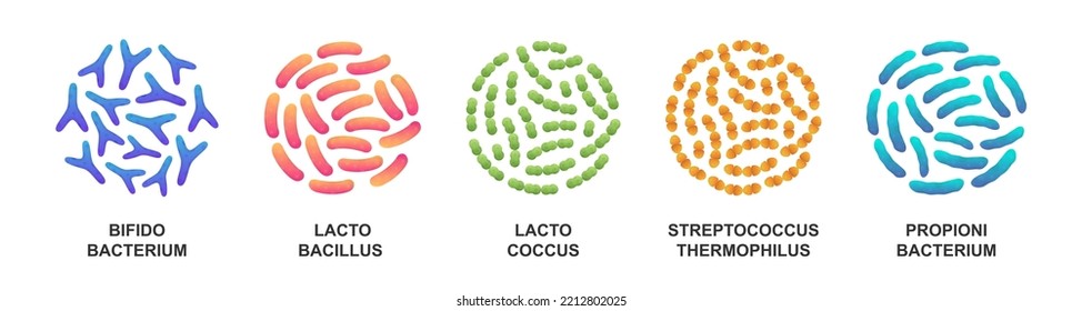 Set of probiotic bacteria. Bifidobacterium, lactobacillus, lactococcus, streptococcus thermophilus, propionibacterium. Good microorganisms.