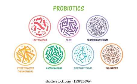 Set of probiotic bacteria. Good bacteria and microorganisms for human health. Microscopic probiotics, good bacterial flora. Flat vector illustration