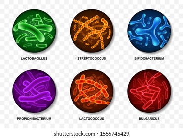 Set Of Probiotic Bacteria. Good Microorganisms Concept Isolated On Transparent Background. Realistic Vector Illustration