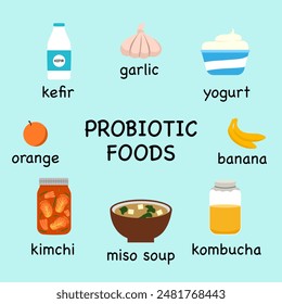 Set of probiotic foods. There are kombucha, kimchi, banana, mico soup, yogurt, and kefir. Food with the rich nutrient.