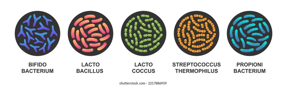 Set of probiotics in a circle. Bacteria and microorganisms. Bifidobacterium, lactobacillus, lactococcus, streptococcus thermophilus, propionibacterium