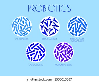 set of probiotics in the gut. flat vector illustration. Propionibacterium, Streptococcus thermophilus, Lactococcus, Bifidobacterium, Lactobacillus. concept good bacteria for microflora. 