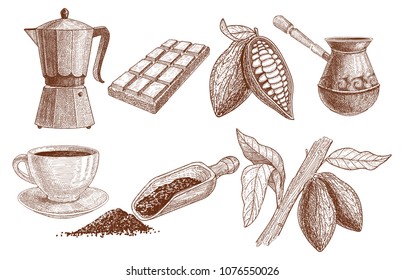 A set of products from cocoa beans: brewed, chocolate, cocoa beans in a cut and a turkey for brewing a drink, as well as a cup and a scoop for cocoa powder and growing beans. 
