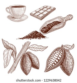 A set of products from cocoa beans:  chocolate, cocoa beans in a cut  for brewing a drink,  scoop for cocoa powder and growing beans.