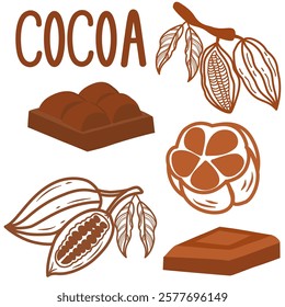 A set of products from cocoa beans, chocolate, cocoa beans, cocoa powder and growing beans. Outline chocolate set icons. Cocoa Beans, and Chocolate Bar for confectionery products shop