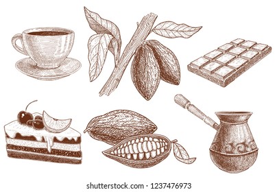 A set of products from cocoa: chocolate, cocoa beans in a cut for brewing a drink, chocolate cake and growing beans.