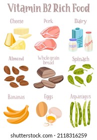 Conjunto de productos que contienen una gran cantidad de vitamina B2. La comida rica en riboflavinas. Ilustración plana dibujada a mano con textura de cepillo seco y letras. Aislado sobre fondo blanco.