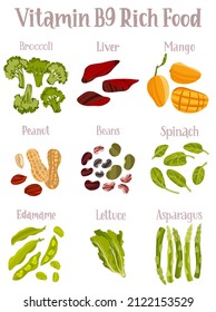 Set of products containing a great amount of Vitamin B9. Folates rich food. Hand drawn flat illustration with dry brush texture and lettering. Isolated on white background.