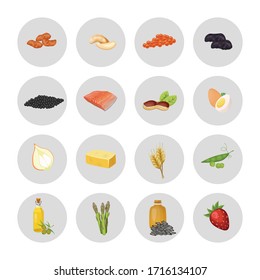 Set of products containing vitamin E. Natural organic products with a high content Vitamin E. Vector illustration.