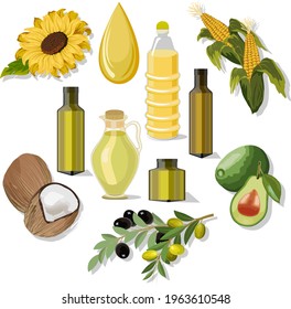 A set of products and oils from them.Olives, corn, sunflower, avocado, coconut and oil bottles from them in vector set.