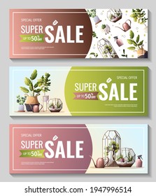 Juego de banners de venta de promociones para la tienda de plantas domésticas, invernadero, florario, huerto, jardinería, amante de las plantas. Ilustración vectorial para afiches, banner, volante, publicidad, comercial, promoción. 