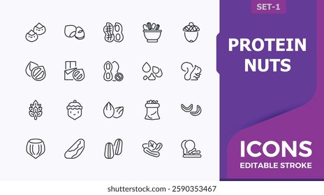 Set of protein nuts line icons. Perfect for logos and infographic. Editable vector stroke. Minimalist editable vector stroke.