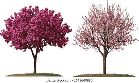 Conjunto de Prunus subg, árvores Handroanthus impetiginosus, frontal isolado, ilustração vetorial, recorte, coleção de árvores da natureza, silhueta de folhagem, elementos de design florestal, arte de árvore, projeto de jardim.