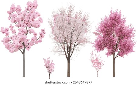 Conjunto de Prunus subg árvores, vista frontal, isolado, planta decídua, ilustração vetorial, pacote de elementos naturais, vegetação de jardim, árvores de paisagem, coleção de árvores ornamentais.
