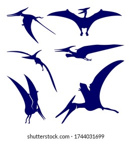 Set of Pterosaurs logo design vector. Icon Symbol. Template Illustration