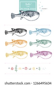 Set of puffer fish images. Unique hand-drawn silhouettes of puffer fish+lemon slices, black pepper, tomato, garlic, rosemary, salt. Yellow, grey, blue, green, red, pink. Vector. Isolated on white.