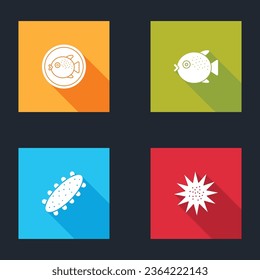 Set Puffer fish on a plate, , Sea cucumber and urchin icon. Vector