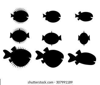 Set of pufferfish, blowfish and globefish in black silhouette style