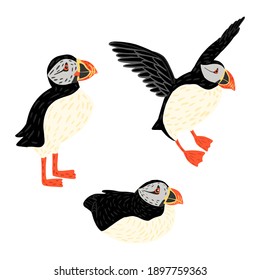 Establece el aislamiento de los Puffins en el fondo blanco. Las aves marinas en diferentes posiciones se sientan, se paran y vuelan. Carácter Fratercula arctica en ilustración vectorial de doodle de estilo.