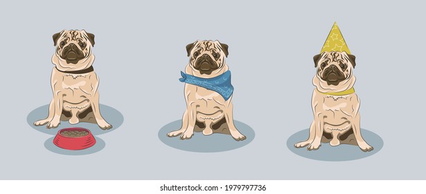 A set of pug in different costumes: one wearing bandana, another con and the last one has a bowl with food. Good for veterinar, dog's barber shop or food.