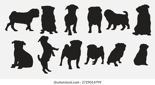 conjunto de pug dog vetor ilustração