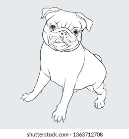 set of pug dogs vector illustration. Outline hand drawing.