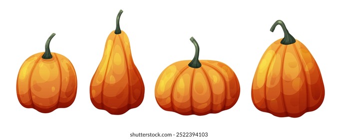 Set with pumkin vegetable isolated on transparent background