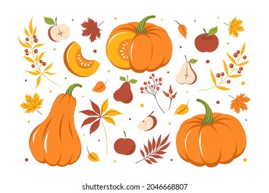 Set with pumpkin, autumn colorful leaves and fruit. Card design Happy thanksgiving. Vector illustration