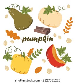 Set of pumpkin. Autumn harvest, vegetables and vitamins. Natural and organic products. Foliage, flora and leaves. Eggplant, pieces. Cartoon flat vector illustrations isolated on white background