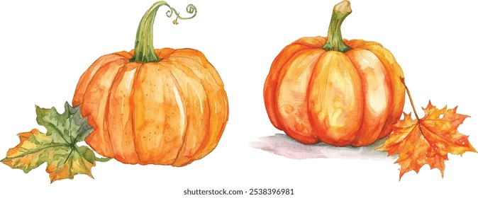 Conjunto de abóbora com ilustração aquarela folha de outono. Vista lateral de abóboras de outono laranja desenhadas à mão para o Dia de Ação de Graças e a decoração de Halloween.