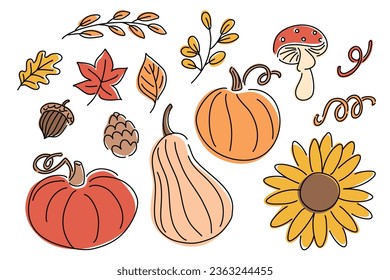 set of pumpkin and autumn leaves