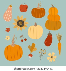 Set with pumpkin, carrot, sunflower, zucchini, flowers, cherry and radish. Retro card with autumn harvest vector illustration on a blue background.