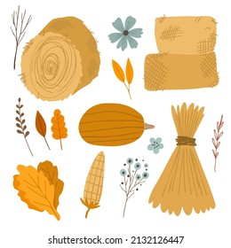 Set with pumpkin, corn, autumn leaves, flowers and hay. Card with fall harvest vector illustration isolated on white background.