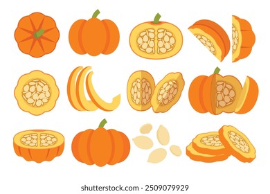 Set of Pumpkin, Farm fresh orange Pumpkin product emblem for grocery shop, Slides, long and cross sections, and different positions, simple flat vector illustration of vegetables and fruits.