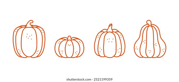 Set pumpkin hand drawn sketch Vegetables Vector illustration,  element for labels backdrop, packaging and greeting card.