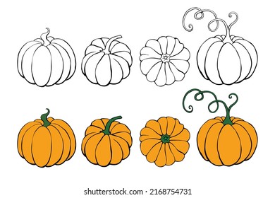 Set of Pumpkin icon isolated on white background. Outline doodle and color. Symbol autumn, crop, fruitful year. Hand drawn vector EPS10 illustration