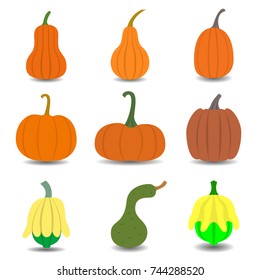 Set Of Pumpkin Icon Isolated On White Background. Different Shapes And Sizes Gourd. Vector Illustration In Flat Design.