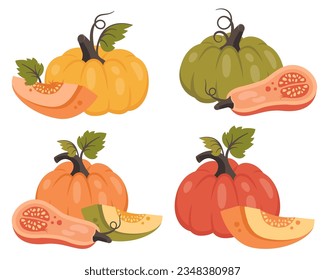 Set pumpkin isolated. Collection of whole pumpkin and half with leaves, grain. Ripe harvest vegetable. Vector illustration for autumn design, good nutrition, agricultural harvest, Thanksgiving