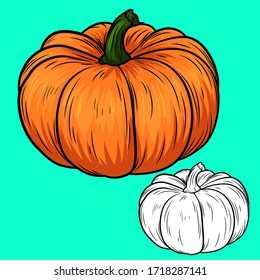 conjunto de calabaza aislada para la decoración