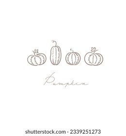 Set of pumpkin line art vector