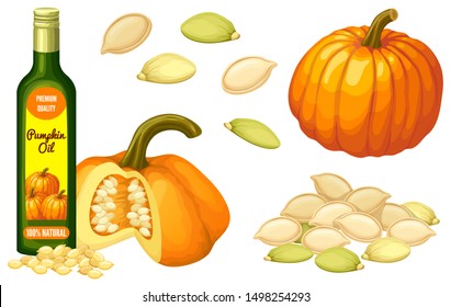 Set pumpkin oil, seeds and leaf. Isolated vector illustration on white background.