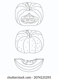 conjunto de calabazas de calabaza vector Halloween calabazas amarillas-anaranjadas trozo aislador de pieza 