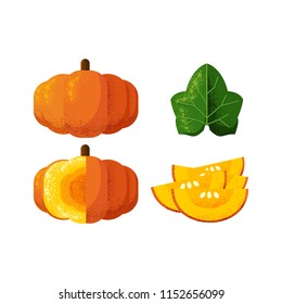 Set pumpkin, slice, and leaf illustration with grain shadow style. Can use for editorial, sticker, icon, and promotional