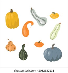 Set of pumpkin of various shapes and colors isolated on white. Harvest Elements. Thanksgiving and Halloween Elements.