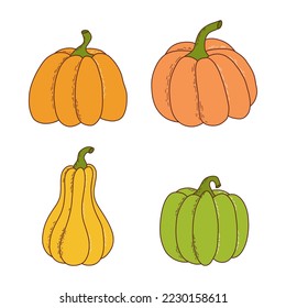 Set of pumpkin of various shapes and colors. Thanksgiving and halloween elements. Vector illustration in hand drawn style